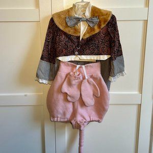 Costume, 2 Adorable Mice Costumes.